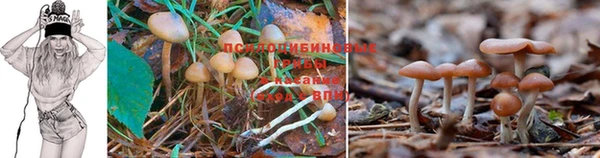 соль курить ск Балахна