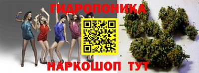 гашик Рыбинск